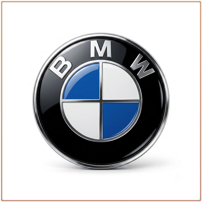 1 Pezzo Emblema Mozzo Volante Auto Rotondo Blu Bianco Logo Adesivo Distintivo Sostituzione Per BMW Tutte le Serie Accessori Interni