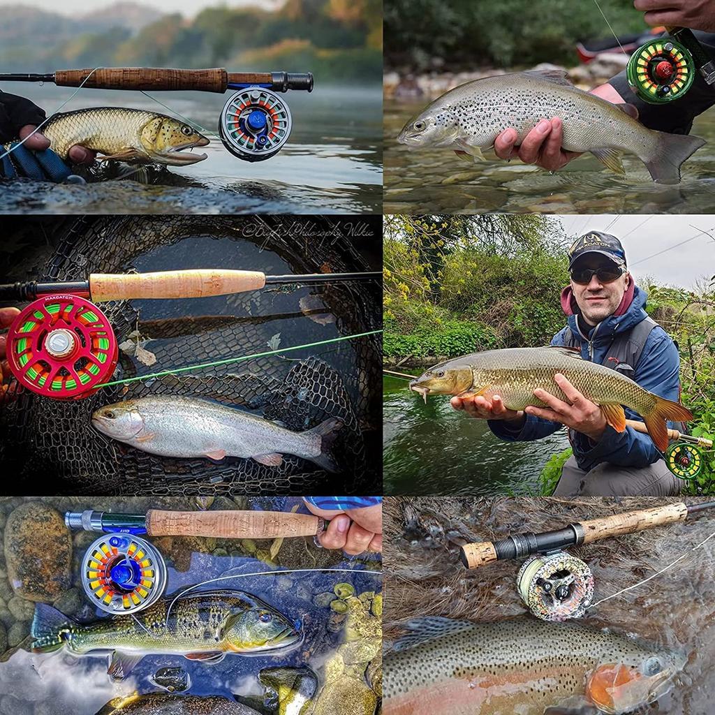 Maxcatch WF Fly Line 100ft Yellow, Orange, Teal Blue, Moss
