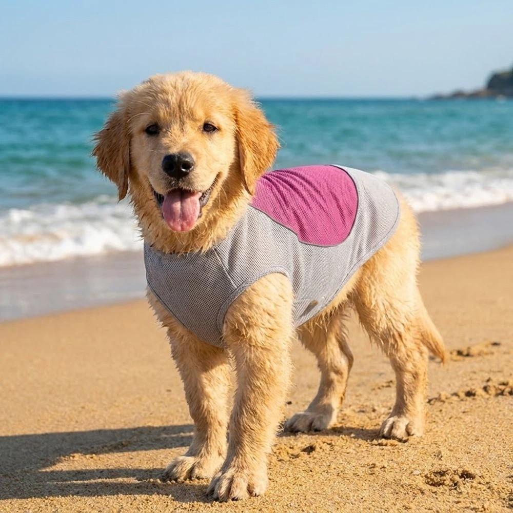 Breathable Mesh Pet Cooling Shirt Sun Protection Dog Ice Cool T-shirt Outdoor Walking Dog