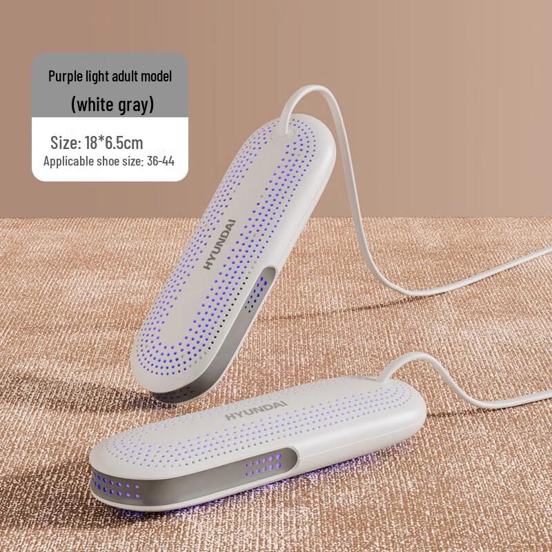 Ailan Huijia SW Shoe Dryer