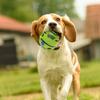 Duurzame Slijtvaste Huisdier Trainingsbal Grappig Geluid Slijp Tanden Verlicht Verveling Interactief Hondenspeelgoed Huisdier Accessoires voor Honden