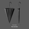 INS Japanese Style Fresh Long Handle 16K Automatic Belt Waterproof Cover Vinyl Sun Protective Straight Handle Women's Golf Umbrella