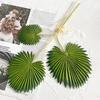 Artificial Leaf No-Maintenance Long-Lasting Freshness Realistic Fan-Shaped Leaves High-Simulation Texture Fake Tropical Leaves Home Decor