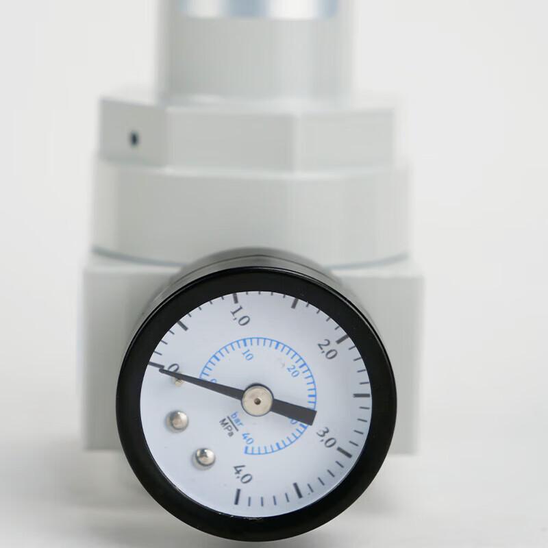 Air Pump Pressure Regulator with Filter