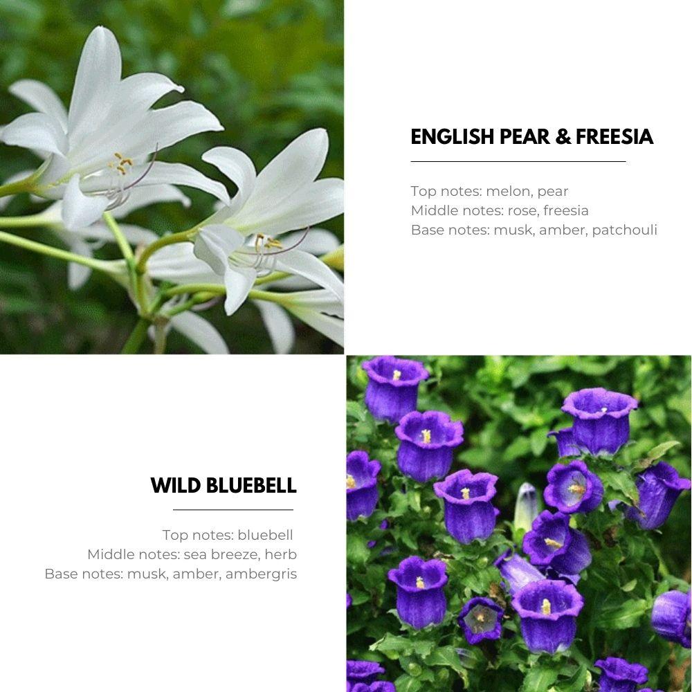 HOMLLY Khanid Collection Aroma Scented Reed Diffuser (140ml) (X2 PCS)