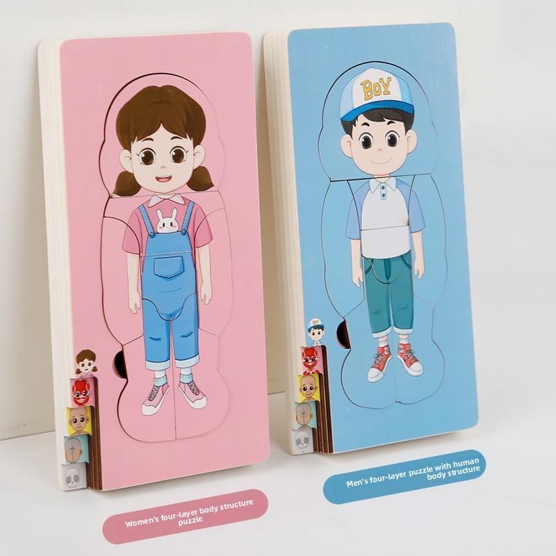 Organs Human Body Structure Jigsaw Puzzle Educational Toy For Kids Learning