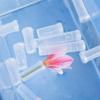 50/100/200PCS Reusable Plastic Flower Water Tubes Flower Vials with Caps Decoration Roses Fresh Flowers Florist Nutrition Flower