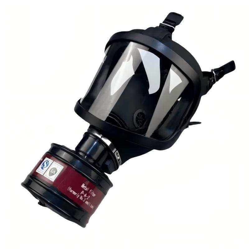 DAXTE Wide-View Full Face Respirator Mask