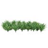 50 Model Ground Cover Plants Architecture Train Diorama Scenery 1:60-1:75 HO