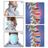 Medical Cervical Traction Correction Device Neck Pain Relief and Support Inflatable Pinched Nerve Neck Stretcher