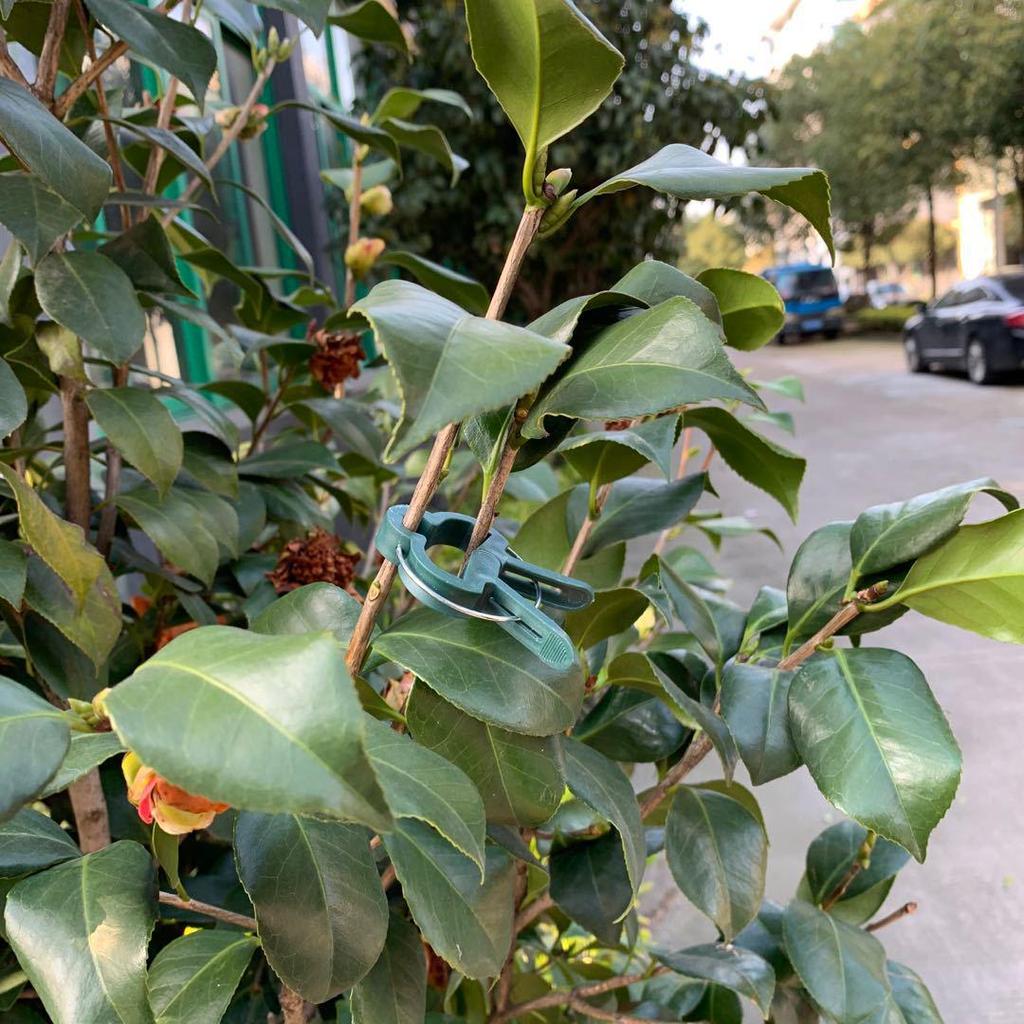 20 Horticulture Seedling Grafting and Pruning Clips for Flowers and Grasses [Various Sizes Available]