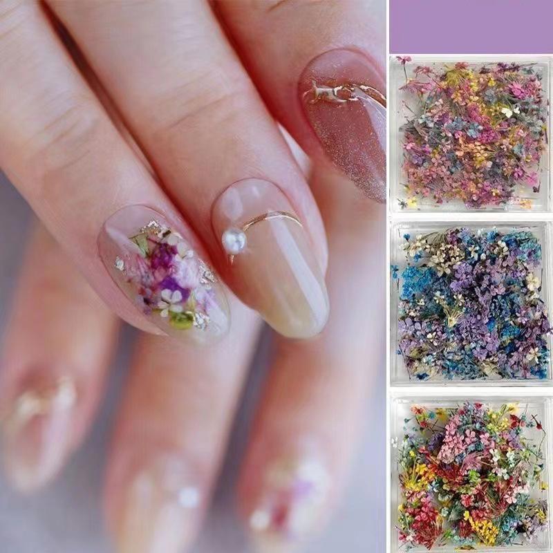 1Box Nail Art Flower Decoration Delicate 3D Dried Flower Nail Art Decorations Exquisite Nail Art Beauty For Charms Accessories