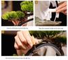 Chinese Wealth-Attracting Water Fountain with Fish Tank - Creative Ornament for Home or Office