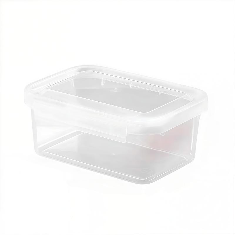 Portable Food-Grade Sealed Storage Box for Fresh Produce. Fresh Keeping Box