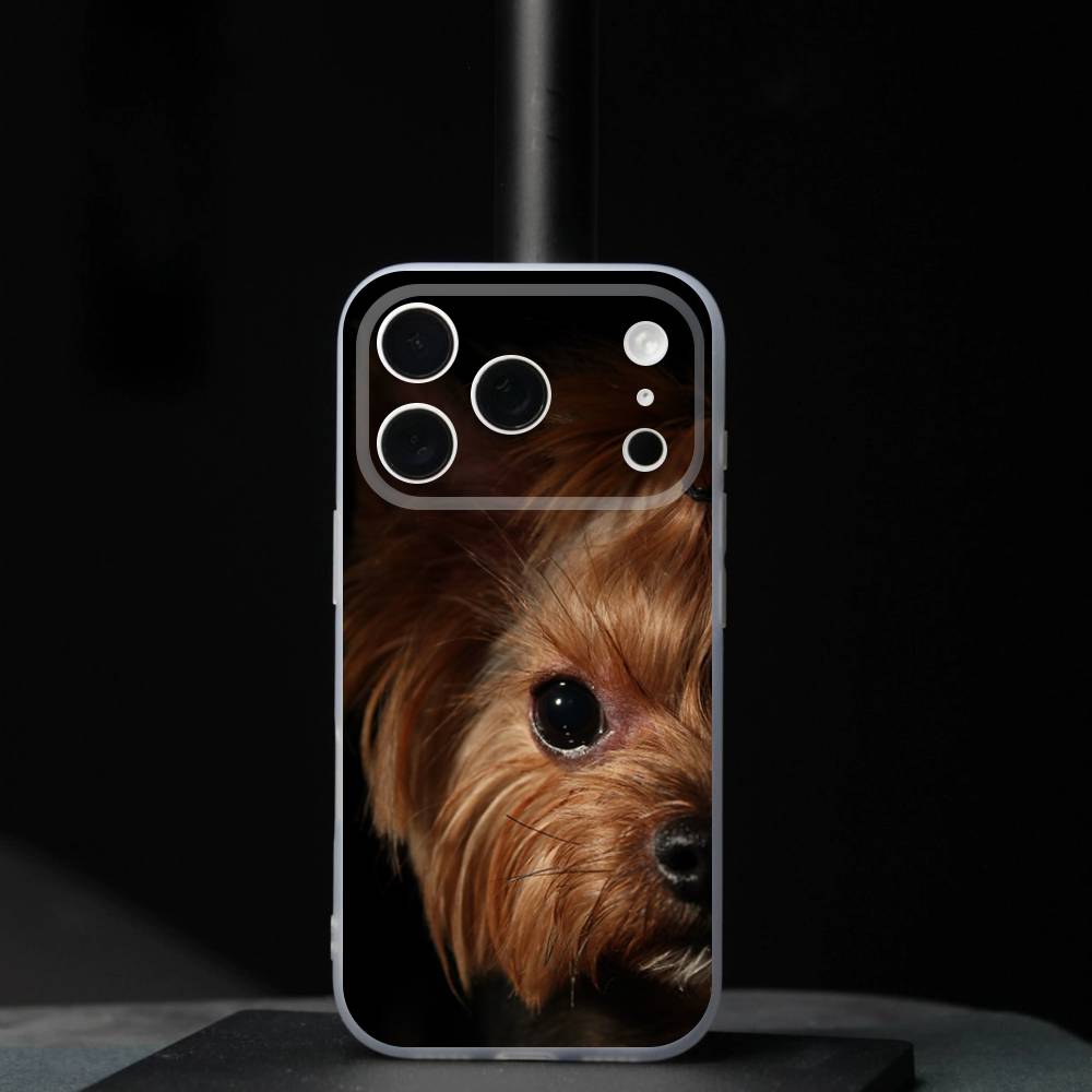 

Yorkshire Terrier dogS For iPhone 11,12,13,14,15,16,17,Pro,Max,Plus,Mini,SE4,E Phone Case With Magsafe Wireless iPhone14Plus