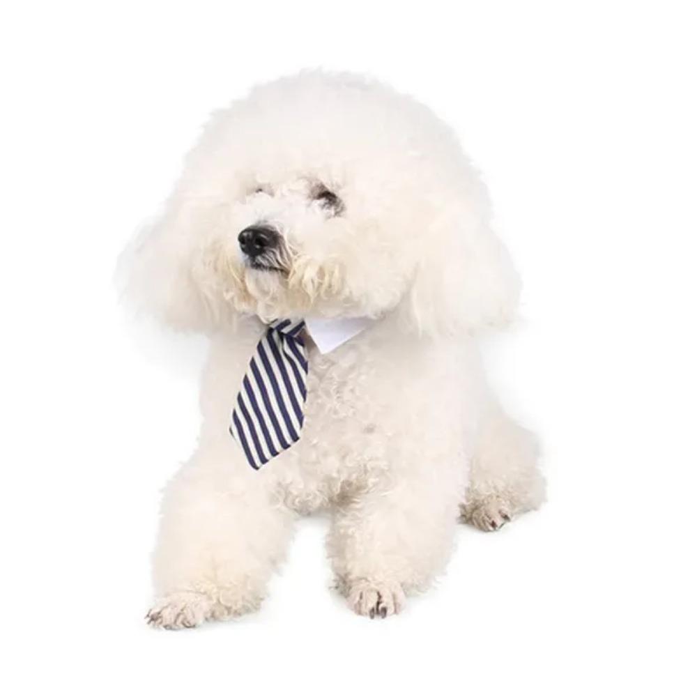 Adjustable Pet Bow Tie Necktie Formal Dog Collar for Small Dogs and Cats Puppy Grooming Ties