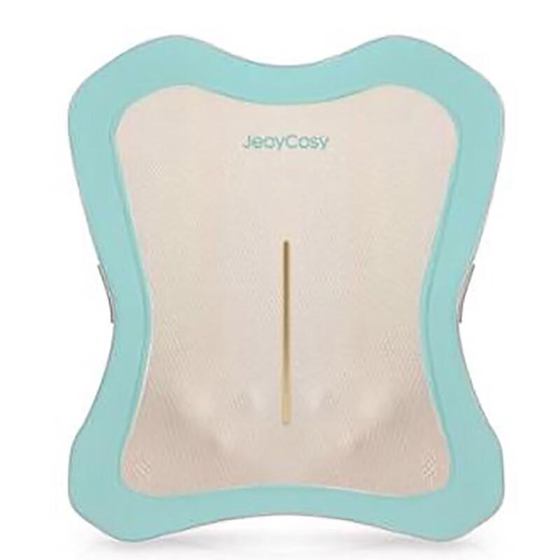 

Jiancheng R3 Heated Lumbar and Back Massager