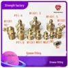 Brangdy Copper Grease Nipple Kit