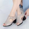 New Women's Roman Sandals versatile fish mouth shoes Casual Comfort Coarse Heel Shoes Trendy ladies high-heel sandal
