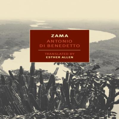 Zama by Esther Allen Paperback Book 9781590177174
