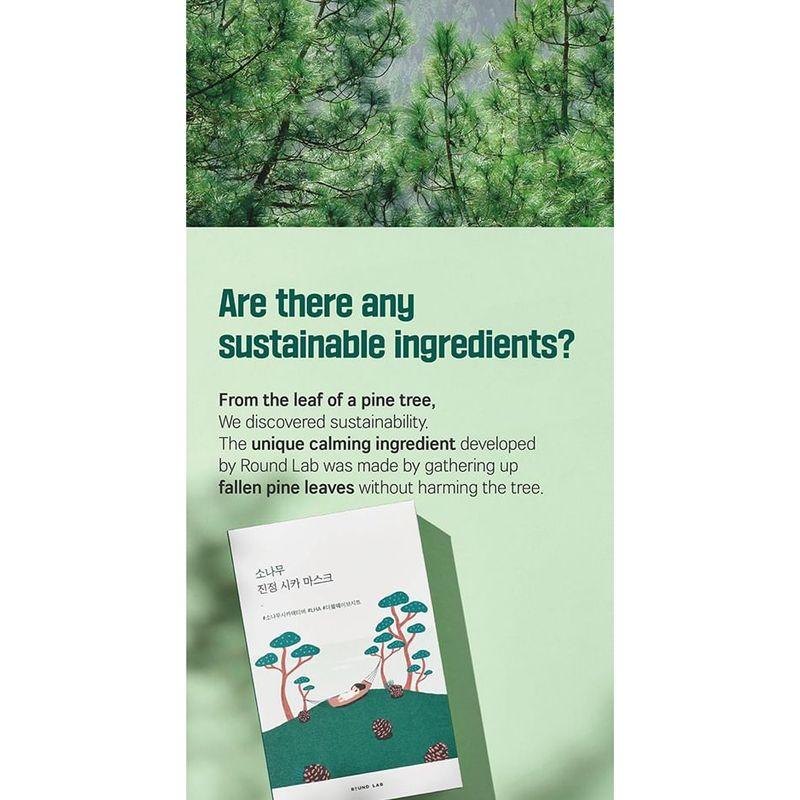 ROUND LAB - Pine Calming Cica Mask Set