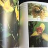 [USED] Orchids, botanical art, illustrated book, orchids, foreign books, orchids, orchids, flowers