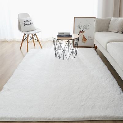 Modern Thick Fluffy Carpet Living Room Coffee Table Bedroom Tatami Non -Slip Absorbent White Floor Mat Bathroom Entrance Doormats
