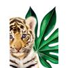 Multifilm Loomade Teemantmaal Taim Leht Lõvi Sebra Kaelkirjak Elevant Teemanttikandid Ristpistes Baby Kids King Home Decor