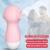Saug Masturbator Vibrator Masturbator Frauen Klitoris Stimulator G-Punkt Massagegerät 10 Modi USB Sexspielzeug Weibliches Erwachsenenspielzeug