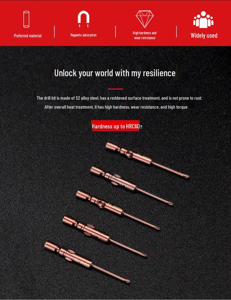 800-Character Electric Screwdriver Set, 4mm Diameter, Round Shank & Handle, Fine Head Bits PH0 PH1
