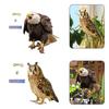 Weather Resistant Owl Decoy Attractive Garden Decoration for Bird Control