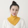 Women Autumn Winter Knitted Fake Collar Scarf Solid Color Ribbed Warm Turtleneck Neck Warmer Detachable Windproof False Collar