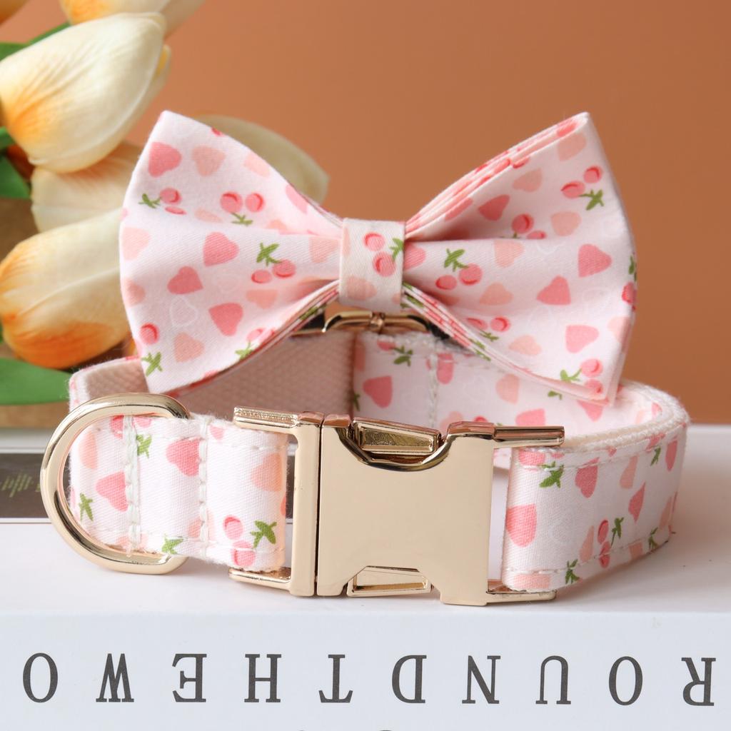 Personalized Customized Dog Collar Set Soft Padded Free Engraving Name for Small Medium Large Dogs Adjustable 8 Colors Dog Leash