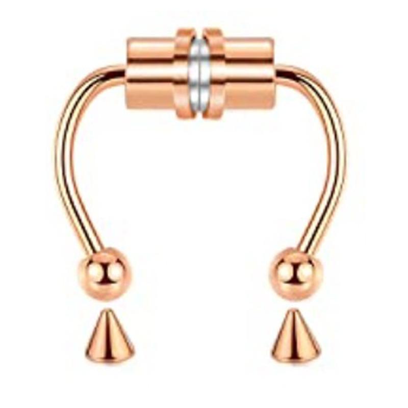 1/2/3/4/5 Adet Sahte Manyetik Burun Halkaları, Faux Piercing Burun Halkaları Piercing Olmayan Septum Halkaları Klipsli Paslanmaz Çelik Mıknatıslı Halkalar