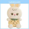 Cute Fruit Rabbit Plush Toy Strawberry Watermelon Pineapple Kid Gift Holiday
