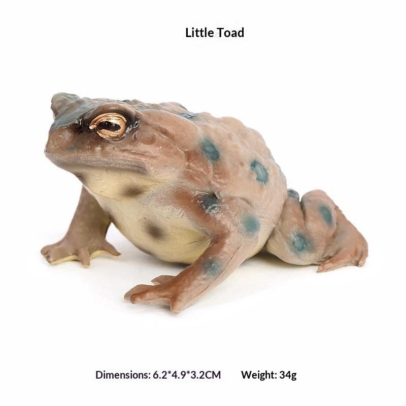 Animal Model Toy for Kids Toad Frog Figure Realistic Rubber Educational Play