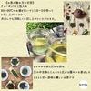 Miyazaki Sabo Organic Kamairicha JAS Certified Tea Bags 5g18 Pesticide-Free Green Set 3