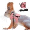 Bearded Dragon Harness And Leash Set Adjustable Lizard Harness with Nylon Rope Small Animal Traction Rope Accessories for Bearded Dragon Squirrel Rat
