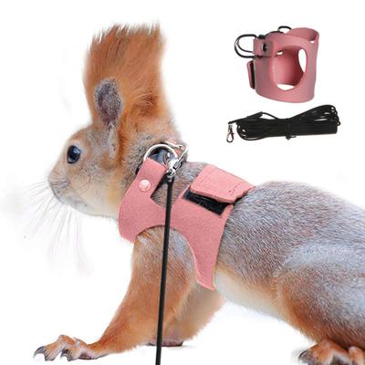 Yousheng Bearded Dragon Harness And Leash Set Adjustable Lizard Harness with Nylon Rope Small Animal Traction Rope Accessories for Bearded Dragon