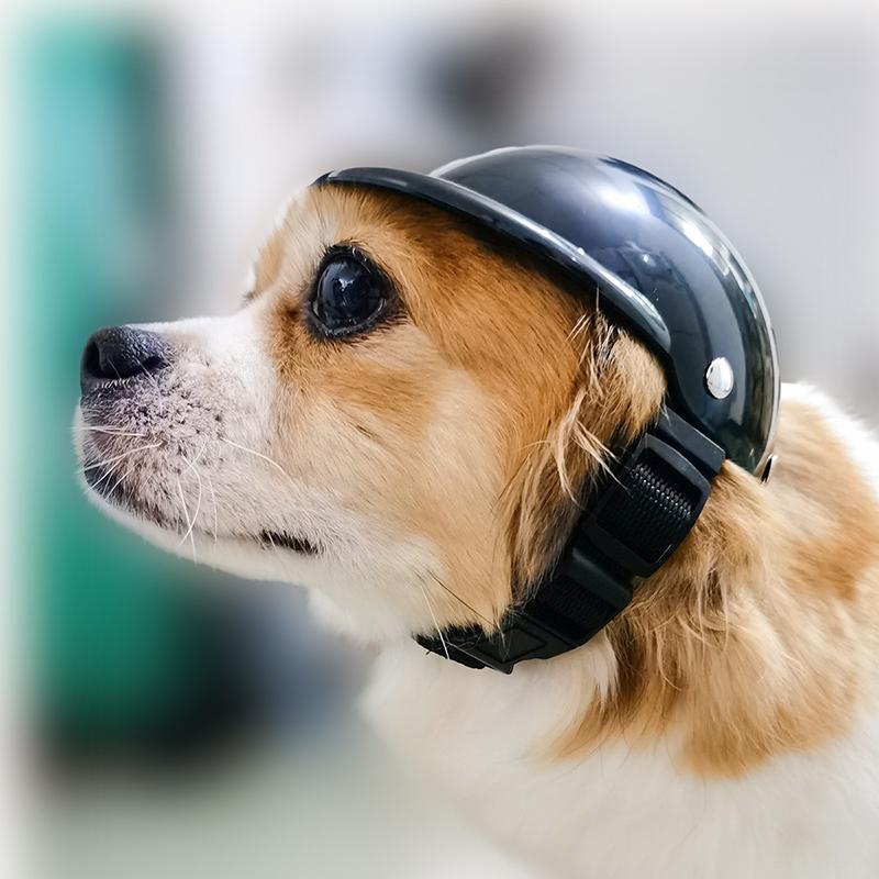 Fajny kask motocyklowy dla małych i średnich psów na zewnątrz jazda szczeniak pies kot kapelusz bezpieczeństwa sombrero mascotas perros accesorios