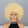MISSQUEEN Duhová kudrnatá afro paruka pro děti Ženy Kudrnatá afro paruka ze syntetického vlákna Cosplay Denní nošení Kinky Curly Paruka
