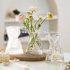 European Style Transparent Glass Vase for Creative Flower Arrangements - High-End Décor for Living Room or Desktop.