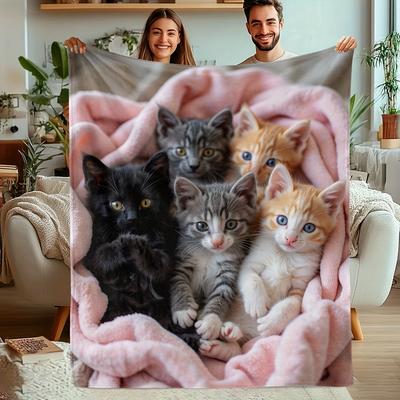 Cute Kitten Fleece Blanket Adorable Cats In Pink Blanket Soft Cozy Throw Home Decor for Living Room or Bedroom Gift for Cat