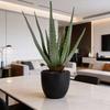 Sztuczna Aloes w Doniczce, 45 cm Wysokości, Zielony, Jak Żywa Dekoracja