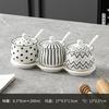Ceramic Spice Jar Set Home Kitchen Salt Pepper Oil Chili Container Combo