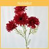 African Gerbera Jamesonii Bolus Wedding Decor For Home And Event Use