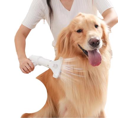 Manufacturer  110v/220v 2-In-1 Comb Pet Hair Dryer Dog Dryer Groomer for Cat Puppy Kitten 2-In-1 Grooming Tools
