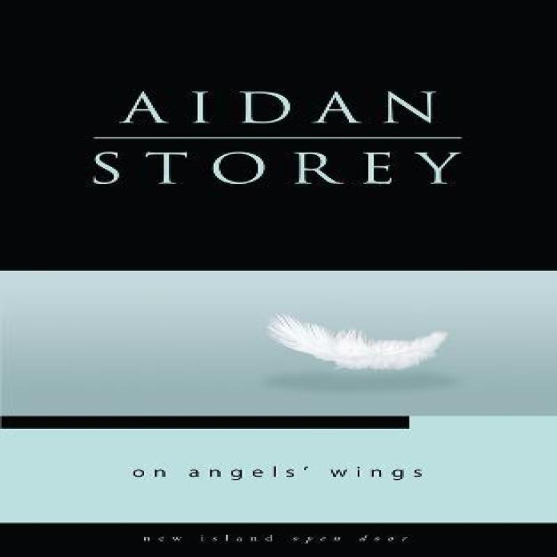 On Angels Wings by Aidan Storey Paperback Book 9781848401006
