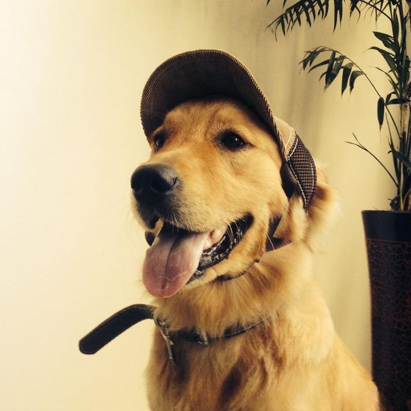 Fashion G-shaped Corduroy Dog Sun Hat Breathable Baseball Hat for Pet Outdoor Travel Use
