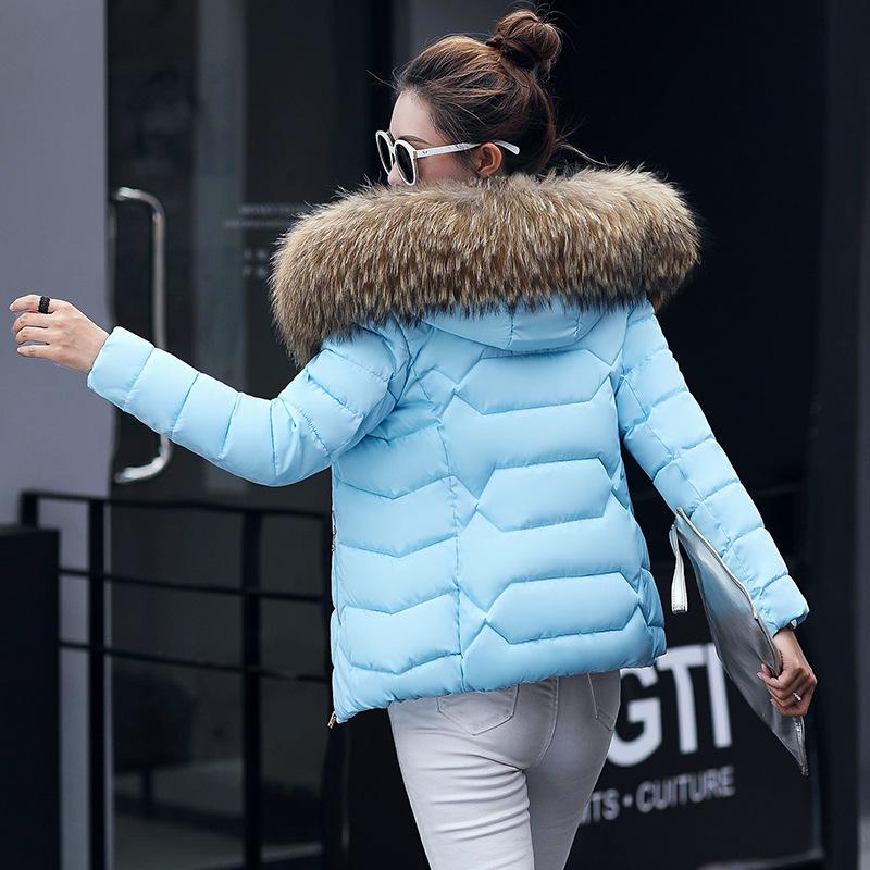Women's Plus Size Short Down Cotton Jacket with Big Fur Collar
